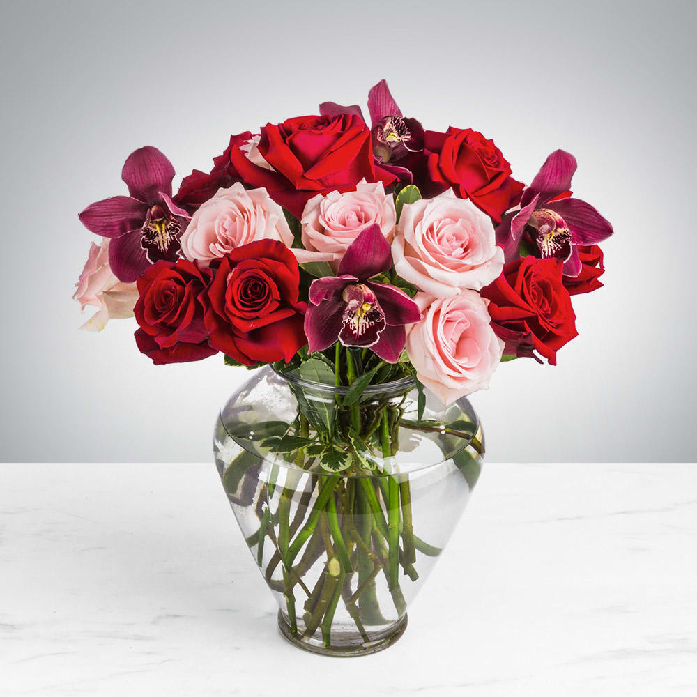 Truly Adored by SUFLOR - This arrangement includes purple cymbidium orchids, red roses, &amp; pink roses. Truly Adored by BloomNation™ is the romantic gift for Valentine's Day or Anniversary.   APPROXIMATE DIMENSIONS: 16" H X 13" W