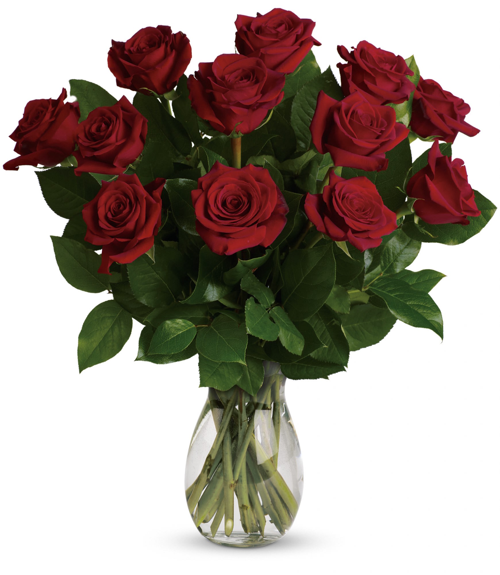 My True Love Bouquet with Long Stemmed Roses - 1 Dozen red roses and greens