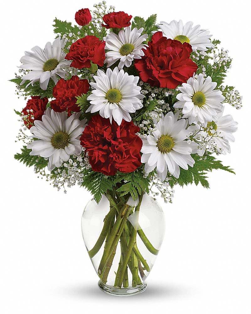 Heart of Kindness - A special show of kindness, on Valentine's Day or any day of the year! This eye-catching arrangement of red carnations, white daisies and delicate baby's breath will surprise and delight your special someone - and remain a treasured memory for years to come. Red carnations, red miniature carnations, white daisy spray chrysanthemums, baby's breath and leatherleaf fern. Delivered in a spring garden vase.Approximately 11" W x 14" H