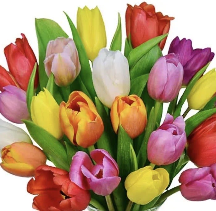 Tulips - 10 Stem Minnesota Grown Tulips wrapped.  