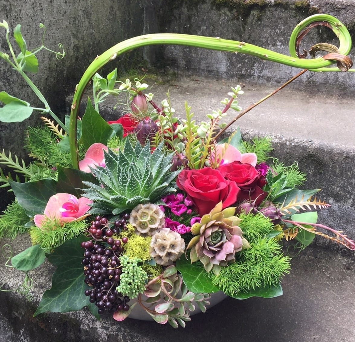 Mixed floral arrangement with red roses, succulents, and berries in a low container