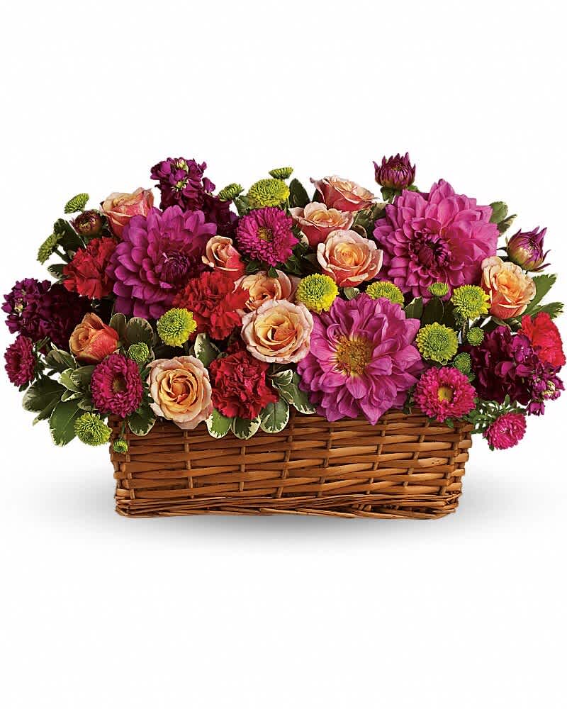 Burst of Beauty Basket - **We will keep all of the arrangements as similar as possible unless indicated no substitutions.** A fantastic array of summer's brightest blossoms fill a charming wicker basket that can be used over and over again. It really is bursting with beauty and bounty. Light orange spray roses, hot pink dahlias, carnations and matsumoto asters, green button spray chrysanthemums are delivered in a rectangular basket.