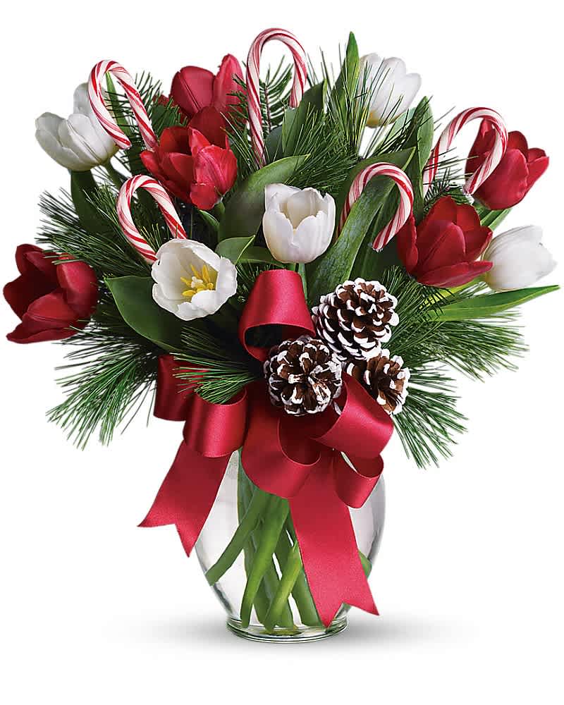 By Golly, It's Jolly - **We will keep all of the arrangements as similar as possible unless indicated no substitutions.** Imagine what would happen if you combined everyone's holiday favorites and arranged them in a beautiful Christmas bouquet. The results would be very sweet indeed, as they are in this fantastic gift! Bright red and white tulips, real candy canes, pinecones and holiday greens in a pretty ginger vase come all wrapped up in a pretty holiday bow. Eye candy with real candy, what a treat.