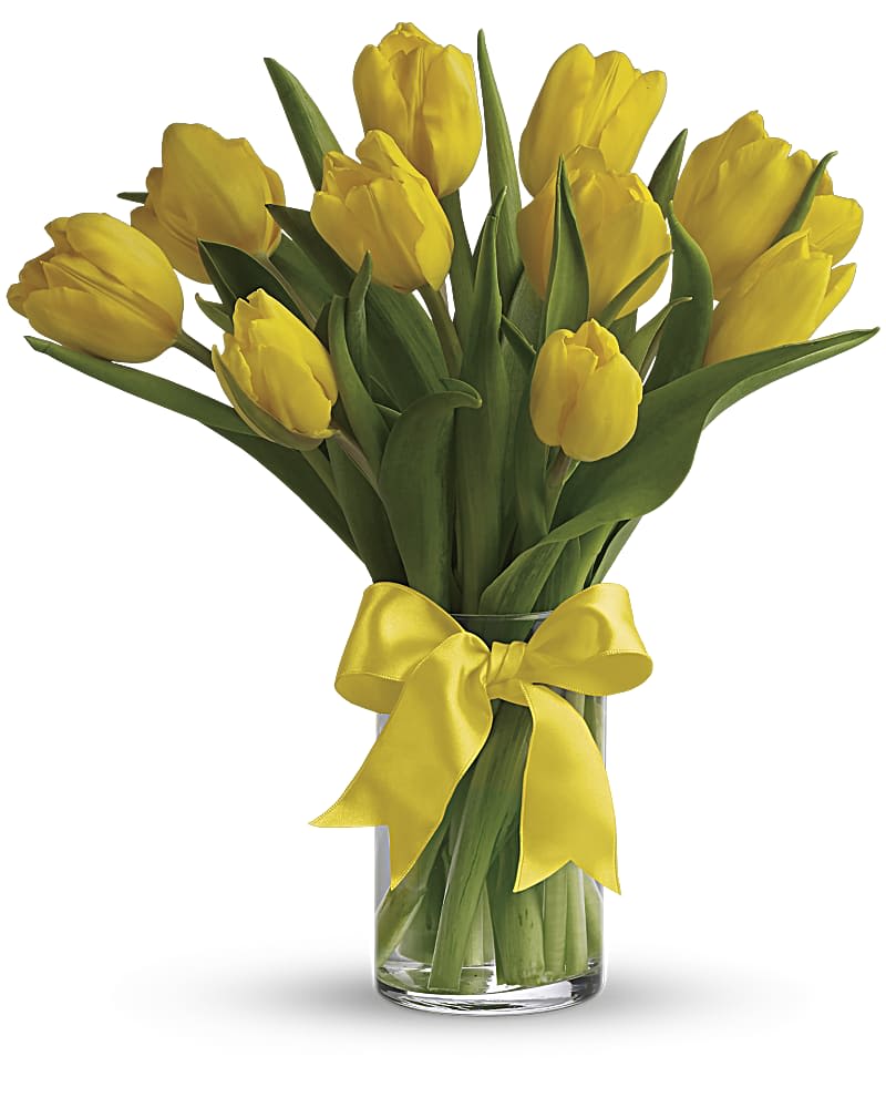 Sunny Yellow Tulips - Sunny yellow tulips are a sure sign of spring. Even if the weather is not cooperating, you can be sure the person who receives this bright bouquet will feel the warmth of your message.  Dazzling yellow tulips are delivered in an exclusive glass vase that's all wrapped up with…what else…a bright yellow ribbon. So go ahead and send sunshine. Even (or especially) if it's a cloudy day!  Orientation: All-Around