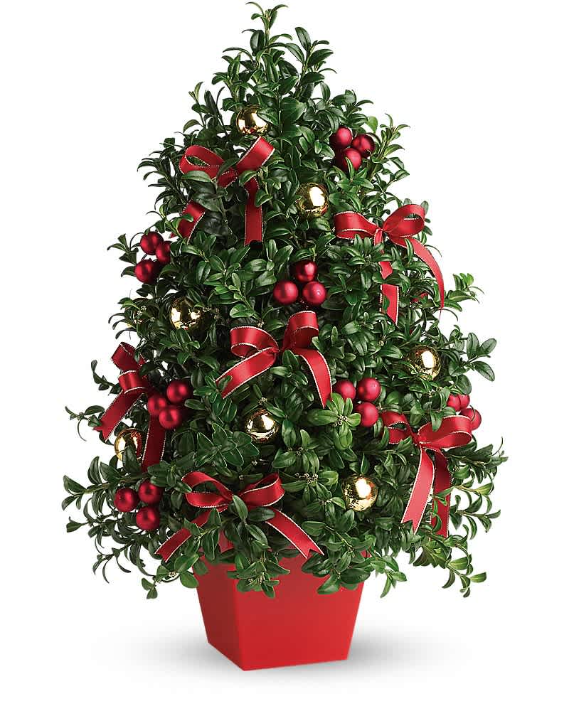 Deck The Halls Tree - Don't let a lack of space dampen your spirits! This "tree" made of holiday greens, festive ornaments and ribbon will deck anyone's halls in style! English boxwood, red and gold ornaments and yards of beautiful ribbon make this tree as festive as any!
