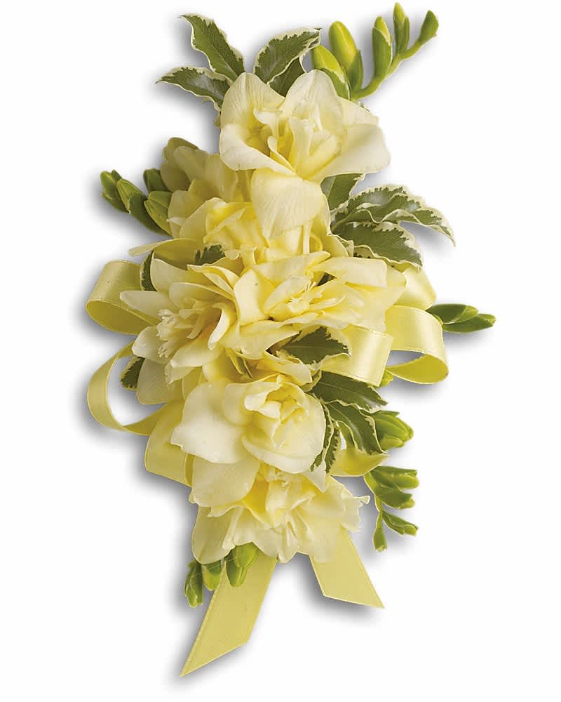Let Love Shine Corsage - Fragrant yellow freesia is a heavenly addition to your special day. Fragrant yellow freesia and pitta negra.