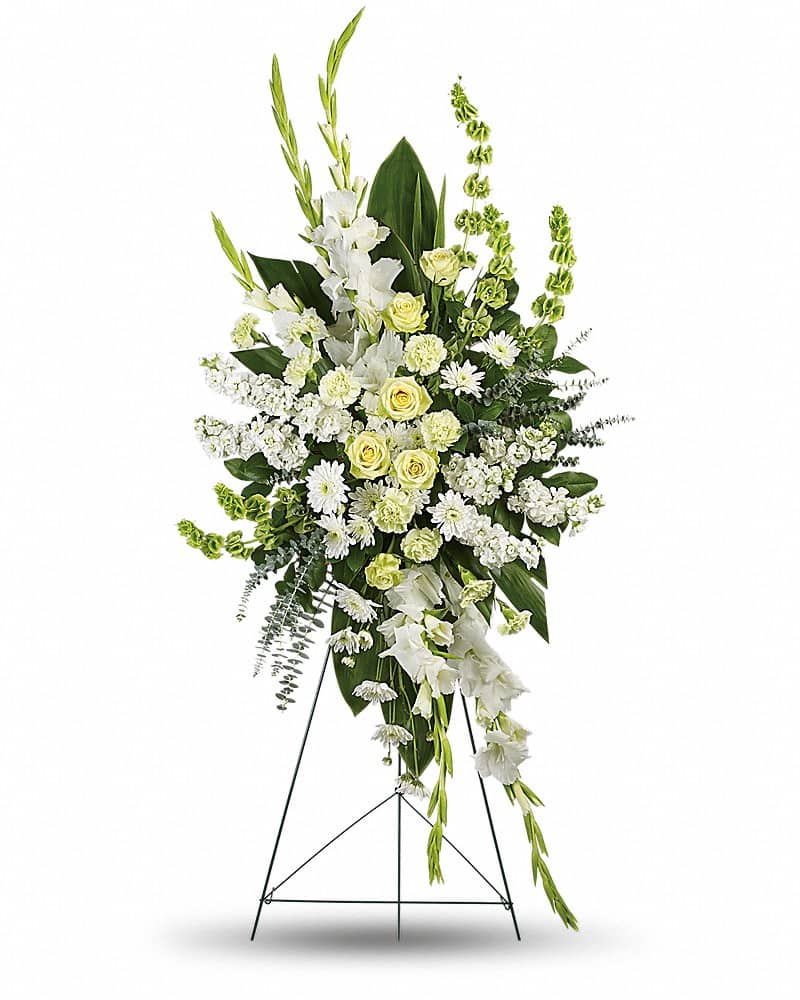Magnificent Life Spray - A magnificent symbol of love and peace, this pure white and green spray conveys your sympathy with elegance and grace. This gorgeous array of green roses, green carnations, white gladioli, white stock, white cushion spray chrysanthemums and bells of Ireland is accented with green ti leaves, spiral eucalyptus and lemon leaf.