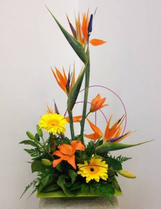 Exotic Tropical Arrangement  - Asymmetrical Lovely setup done up with Birds of paradise, Asiatic oranges lily, gerberas 