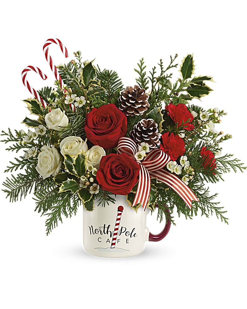 Send a HugÂ® Cozy Holiday Mug by Teleflora - Cozy up to Christmas with this seasonal mix of winter greens and holiday blooms, artfully arranged in a hand-painted, oversized North Pole CafÃ© ceramic mug for years of sipping pleasure! This bouquet includes red roses, white spray roses, miniature red carnations, flat cedar, noble fir, and variegated holly. Delivered in a Send a HugÂ® North Pole CafÃ© Mug.