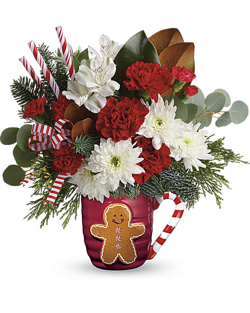 Send A HugÂ® Gingerbread Greetings Bouquet - This jolly gingerbread man mug can't wait to serve up this festive mix of Christmas blooms, and years of hot cocoa sipping fun! This arrangement includes white alstroemeria, red carnations, red miniature carnations, white cushion spray chrysanthemums, magnolia leaves, silver dollar eucalyptus, flat cedar, and noble fir. Delivered in a Winter Sips mug.