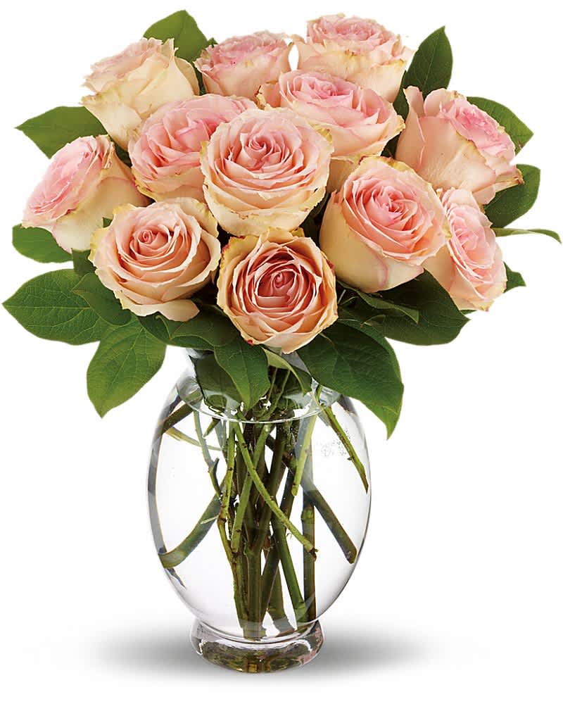 Teleflora's Delicate Dozen - As soft and delicate as the first blush of love, this rose bouquet carries a lot of romance. Gorgeous sweet pink roses arranged in a clear glass vase sends such a beautiful message of love, it just might leave you and your love blushing.