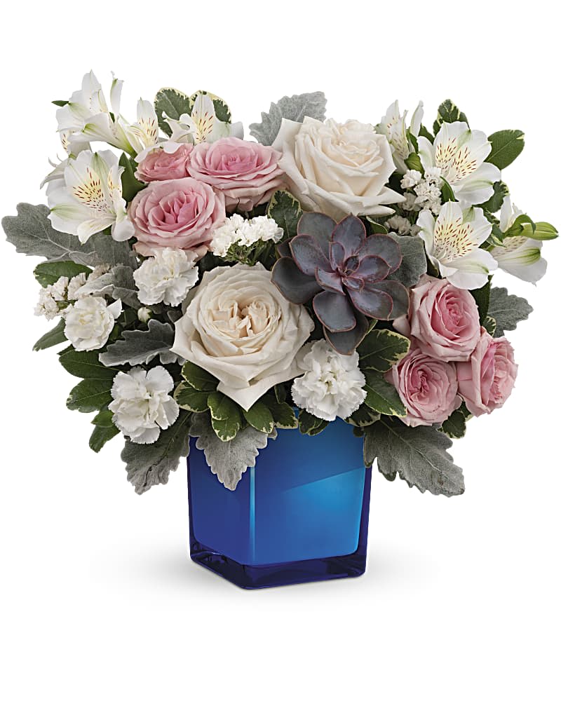 Teleflora's Enchanting Blue Bouquet - Soft as a whisper, this enchanting bouquet of cream and pink roses looks oh-so-lovely in a cobalt blue glass cube that later becomes a comely candleholder. CrÃ¨me roses, pink spray roses, white alstroemeria and miniature white carnations are arranged with variegated pittosporum, dusy miller, white sinuata statice and a large, potted green echeveria succulent. Delivered in a Color Splash Cube.