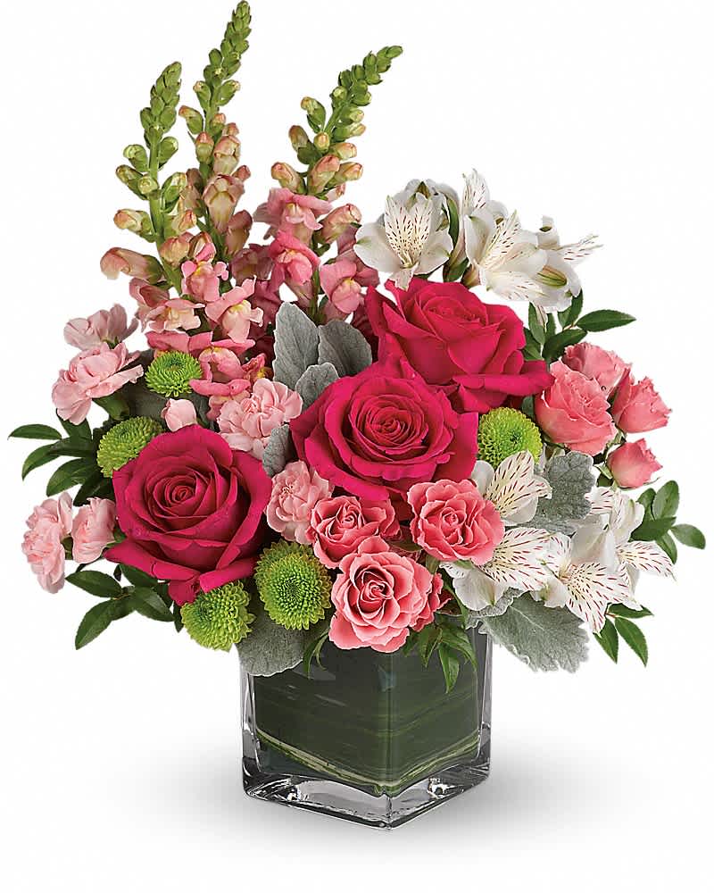 Teleflora's Garden Girl Bouquet - Fun and feminine, this hot pink bouquet is reminiscent of a spring garden party with friends! Stunning roses, delicate alstroemeria and dramatic snapdragons are hand-delivered in a classic cube vase lined with a green leaf - a surprise gift that'll touch her heart, no matter the occasion. Hot pink roses, pink spray roses, white alstroemeria, pink miniature carnations, green button spray chrysanthemums and pink snapdragons are arranged with dusty miller, huckleberry and variegated aspidistra leaf. Delivered in a clear cube vase.