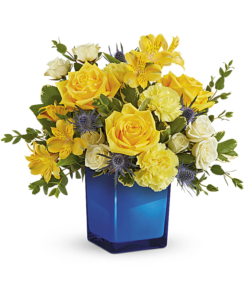 Teleflora's Golden Blue Bouquet - Go for the gold with this bold yellow rose bouquet, offset by a cool cobalt blue glass vase. Yellow roses, white spray roses, yellow alstroemeria, yellow carnations and blue eryngium are accented with parvifolia eucalyptus and variegated pittosporum. Delivered in a Color Splash Cube.