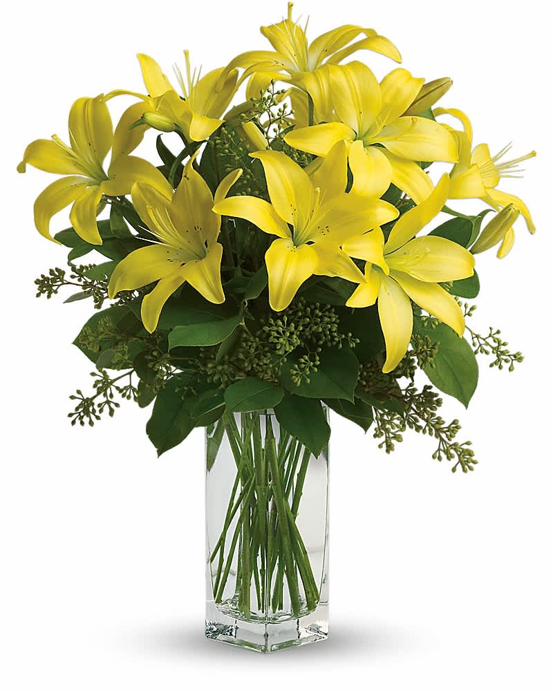 Teleflora's Lily Sunshine - When it comes to spring flowers, the lily reigns supreme. It's easy to see why in this gorgeous bouquet of bright yellow blooms. A fabulous bouquet of yellow asiatic lilies, salal and seeded eucalyptus are delivered in a divine bunch vase.