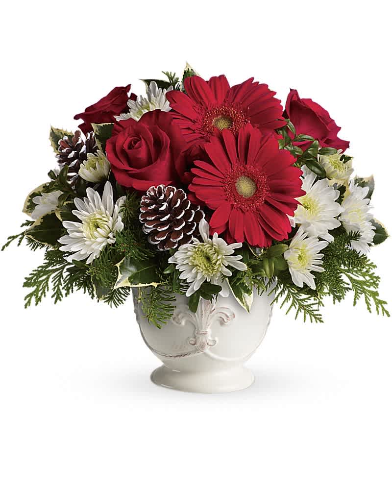 Teleflora's Simply Merry Centerpiece - This "simply merry" bouquet boasts red gerberas and roses arranged in our charming French country pot with a fleur-de-lis motif. Red gerberas, red roses and white cushion spray chrysanthemums are accented with tips of flat cedar, noble fir, holly and assorted greens. Delivered in Teleflora's French country pot.