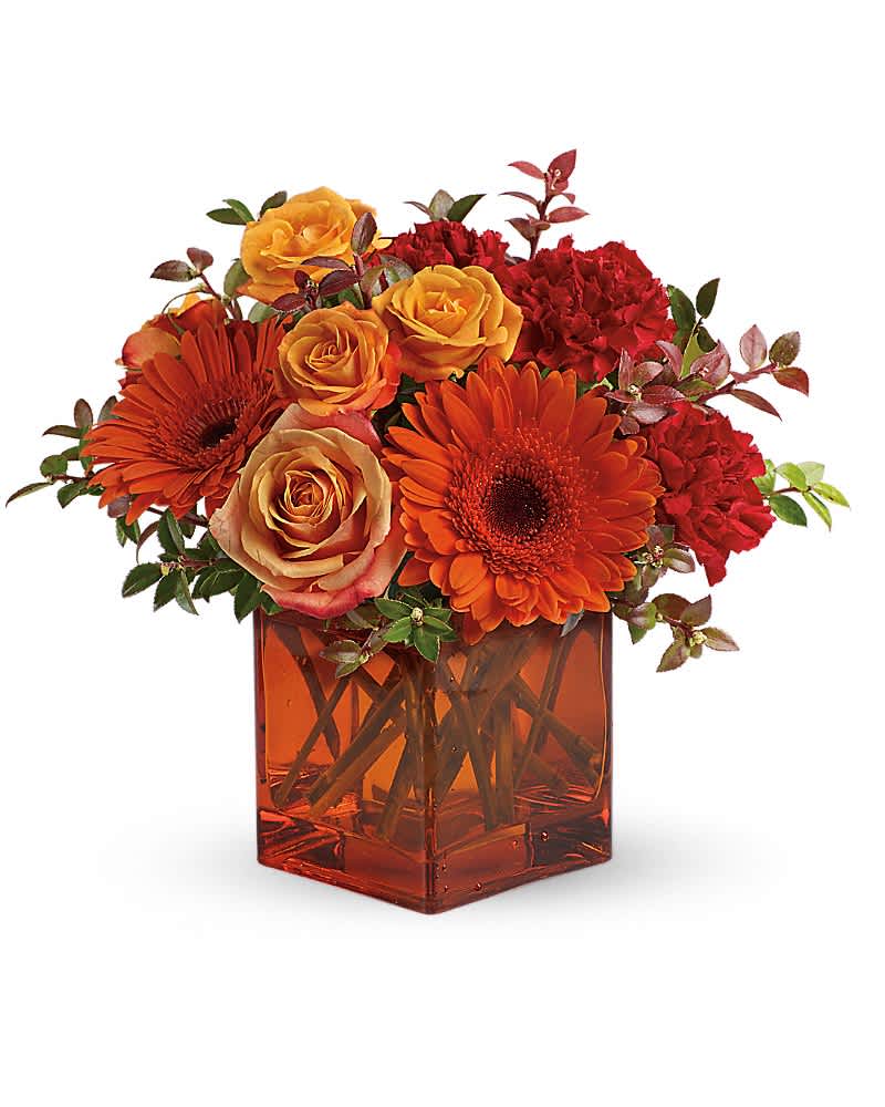 Teleflora's Sunrise Sunset - Sunrise, sunset, swiftly fly the days. So don't let another day go by without letting someone you know that you are thinking of them. This delightful arrangement will brighten anyone's morning, noon and night. Fiery orange roses, spray roses and gerberas plus red carnations and huckleberry, are arranged in an exclusive orange cube vase. This arrangement is bound to get glowing reviews and thank-yous!Approximately 8" W x 9" H