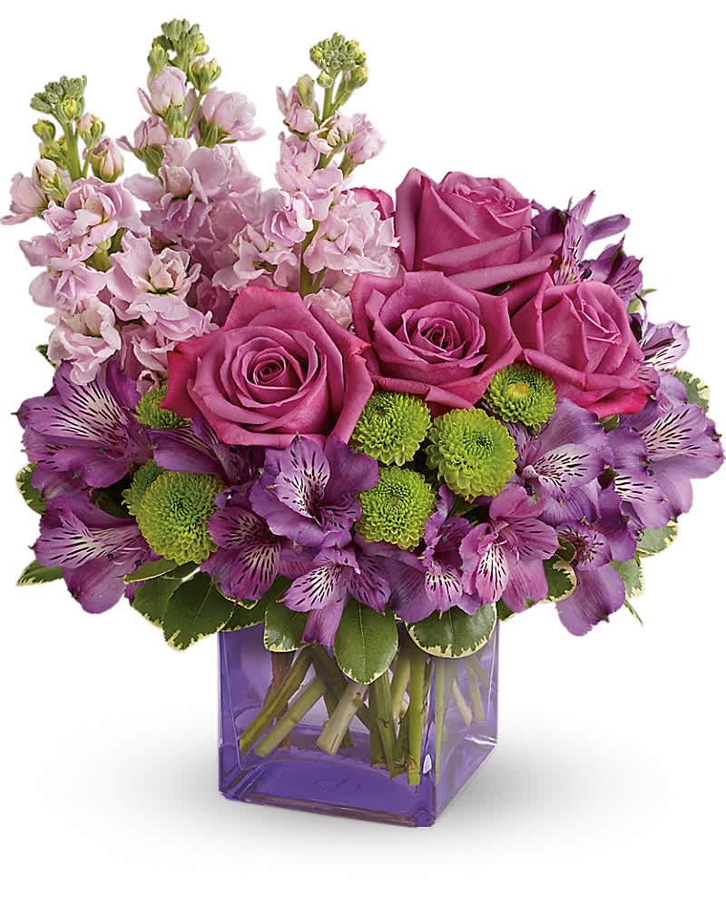 Teleflora's Sweet Sachet Bouquet - Sweet as can be! Hand-delivered in a chic lavender cube, this marvelous mix of jewel toned blooms is a touching way to celebrate someone special on their birthday or any day. Lavender roses, purple alstroemeria, light pink stock and green button spray chrysanthemums are accented with variegated pittosporum. Delivered in a lavender cube vase.