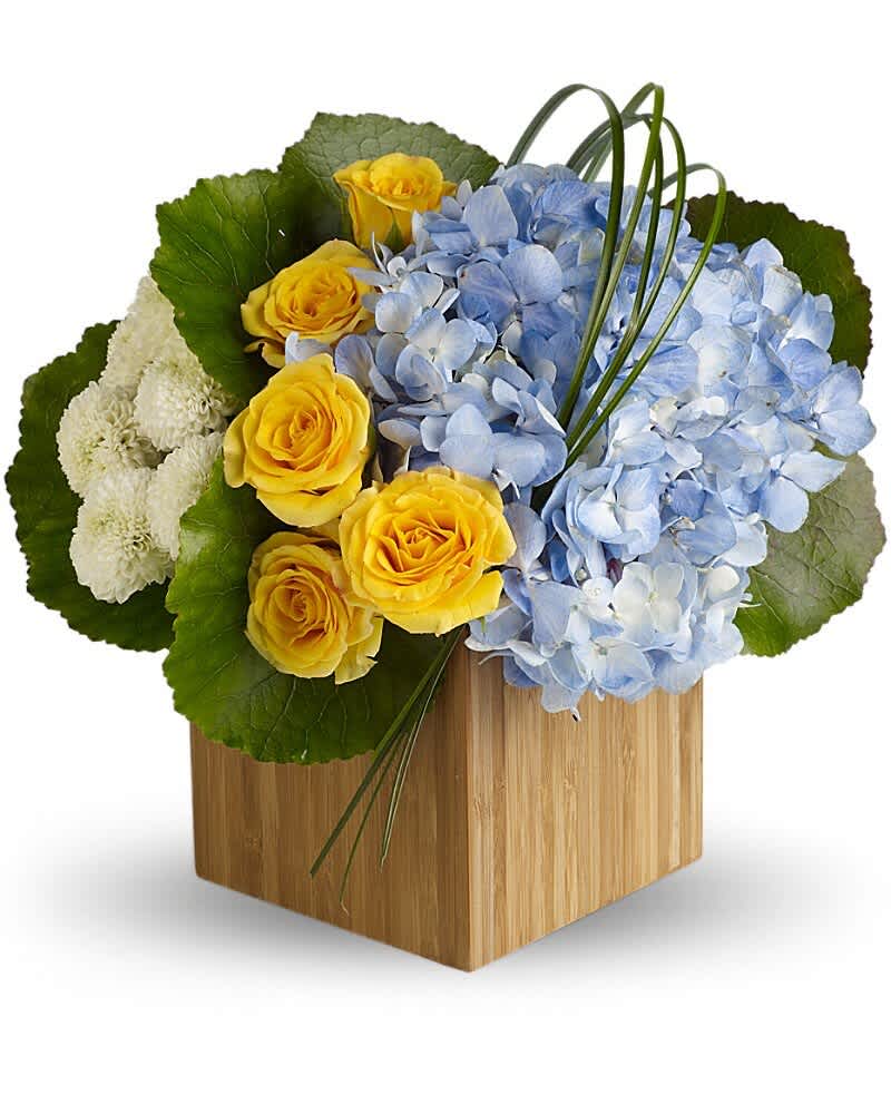Teleflora's Weekend Getaway - Give your senses a break from the same old, same old with soft blue hydrangea in a lush arrangement of yellow blooms beautifully arranged in a chic bamboo cube. It's a great way to leave home without leaving home. The stunning bouquet includes blue hydrangea, yellow spray roses and white button spray chrysanthemums accented with fresh greenery. Delivered in a natural bamboo cube.