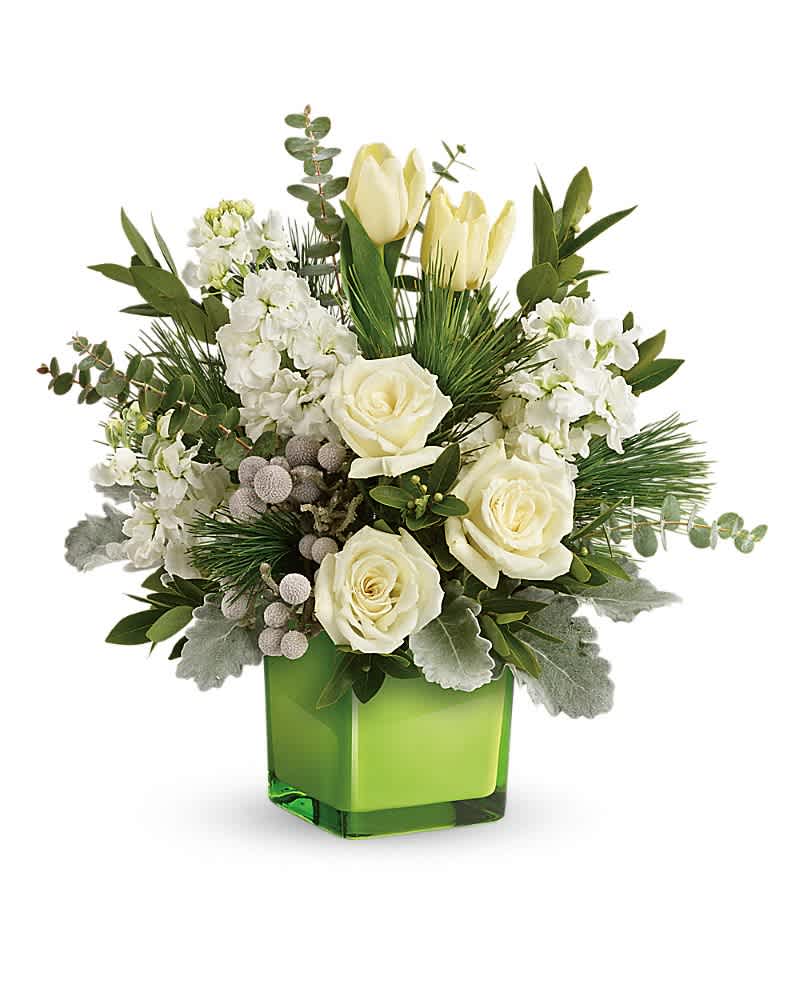Teleflora's Winter Pop Bouquet - Celebrate the snowy season with this gorgeous winter-white bouquet, hand-delivered in a fresh green cube for a pop of modern style! White roses, tulips and stock with silver brunia are arranged with dusty miller, spiral eucalyptus, parvifolia eucalyptus, and white pine. Delivered in a Leaf Color Splash cube.
