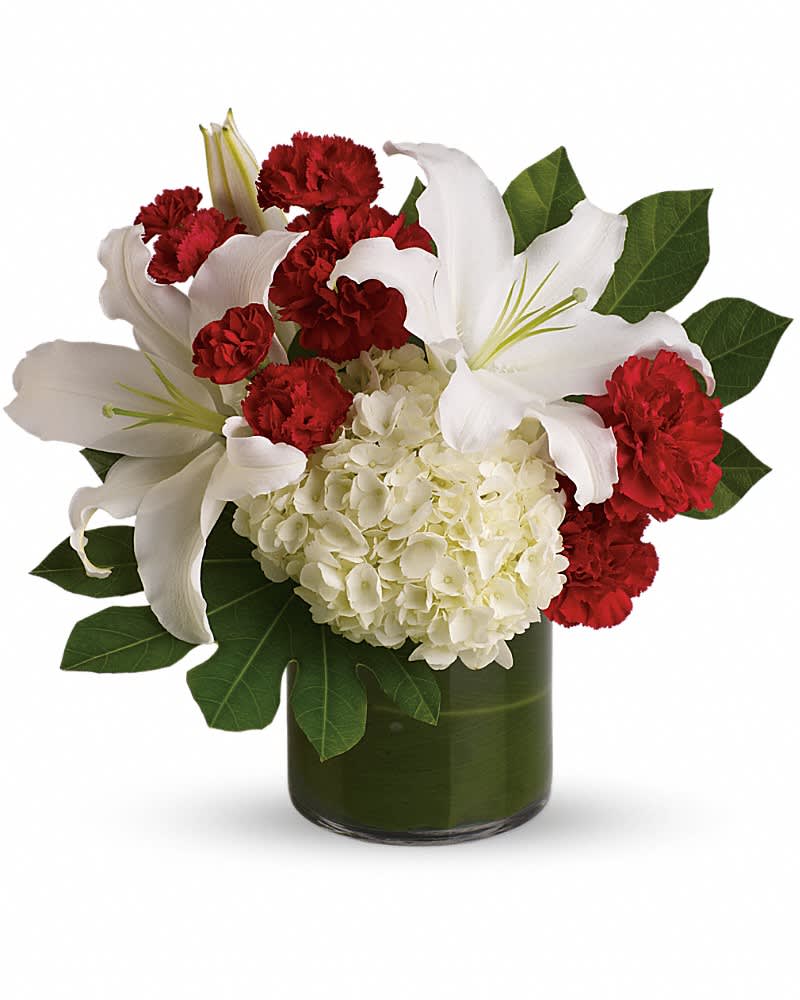 You're My Angel - Make a stunning statement with this high-style symphony of snowy white and passionate red. It's a dramatic choice for any occasion, full of luxurious blooms including hydrangea and oriental lilies. Crisp white hydrangea and oriental lilies are juxtaposed with rich red carnations and fresh pops of green aralia leaves. The clear glass cylinder vase is lined with a tropical ti leaf.