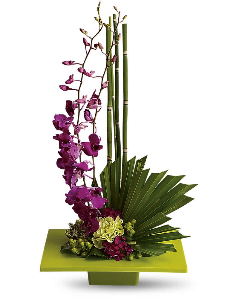 Zen Artistry - It's artistic arrangements like this one that make flowers such an integral and beautiful ingredient in feng shui. A brilliant green container and exotic palm leaf provide the perfect backdrop for purple orchids and a mix of delightful tropical flowers. This gift takes artistry to new heights. Purple dendrobium orchids, green carnations, dark pink Sweet William, an emerald palm leaf and other tropical greens are arranged in a square kiwi-colored container. Perfect when you've got a yen to send Zen!