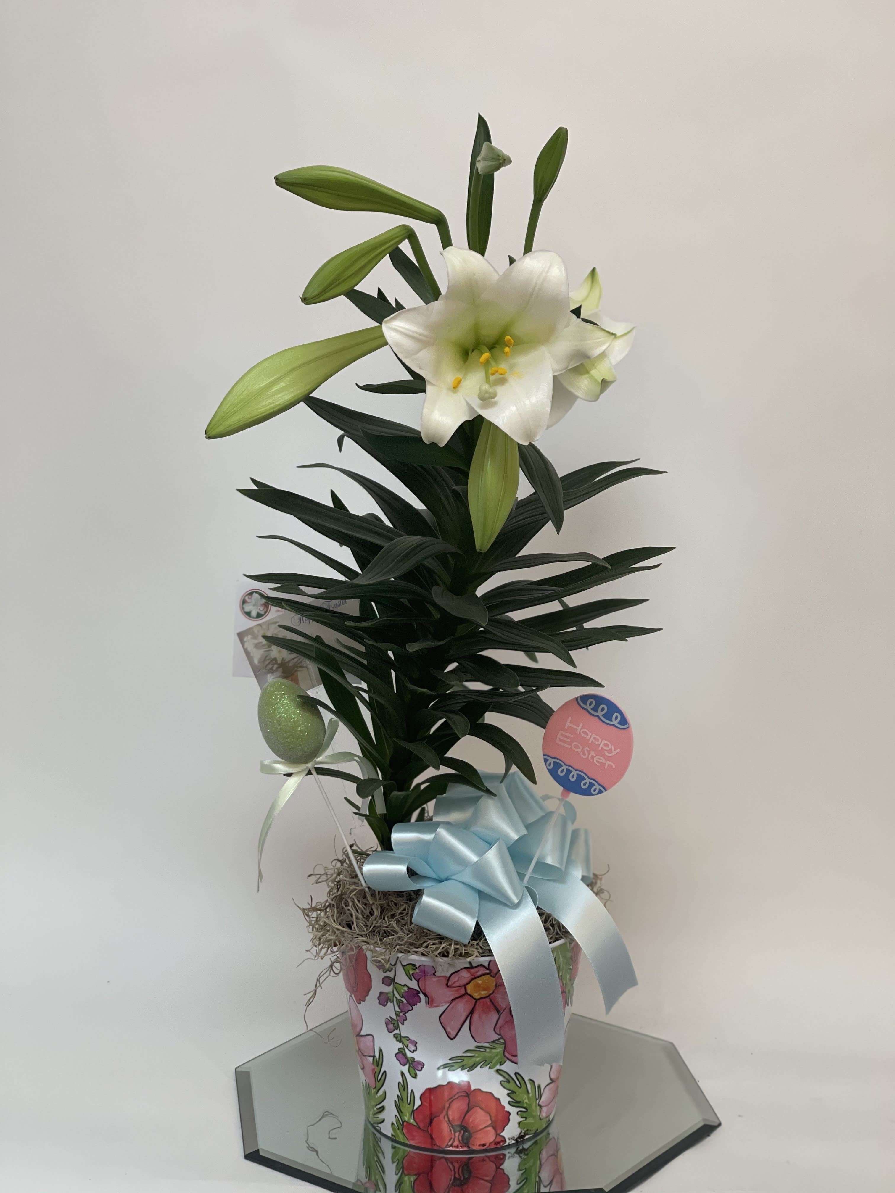Single Easter Lily  - Decorated and in pot 6.5’ Easter Lily 