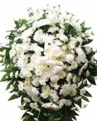 Peaceful Garden Standing Spray - A timeless and elegant standing sympathy spray designed with lush fresh greenery, beautifully accented with white cushion mums and white carnations. The soft white blooms symbolize peace, purity, and remembrance, creating a graceful and comforting tribute.  Finished with a white ribbon bow, this arrangement offers a heartfelt expression of sympathy and respect. An optional sympathy banner may be added to personalize the tribute with a meaningful message.  Thoughtfully arranged on a standing easel, this classic design is a beautiful way to honor and remember a loved one during a time of loss.
