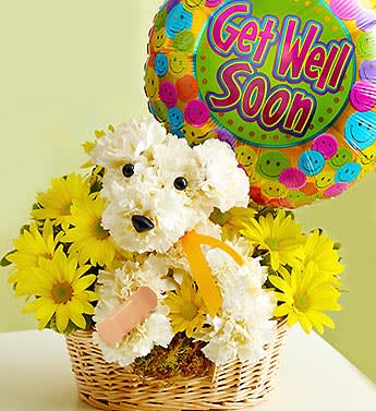 Sick As A Dog - Product ID: 91877  EXCLUSIVE For anyone that's a little under the weather, our playful pooch-shaped a-DOG-able arrangement is just the prescription. This truly original surprise is hand-crafted by our select florists using white carnations and yellow poms, accented with bright yellow ribbon and a "Get Well" balloon. One look and they'll be feeling like the top dog in no time. Hand-designed a-DOG-able arrangement of white carnations, yellow poms and variegated pittosporum Arranged in the shape of an adorable puppy, complete with eyes, nose, a yellow ribbon "collar" and a band-aid on his paw Arrives in a willow dog bed basket lined with sheet moss Paired with a cheerful "Get Well" 18"D Mylar balloon; balloon design may vary due to local availability Arrangement measures approximately 11.5"H x 10"L Our florists select the freshest flowers available so floral colors and varieties may vary