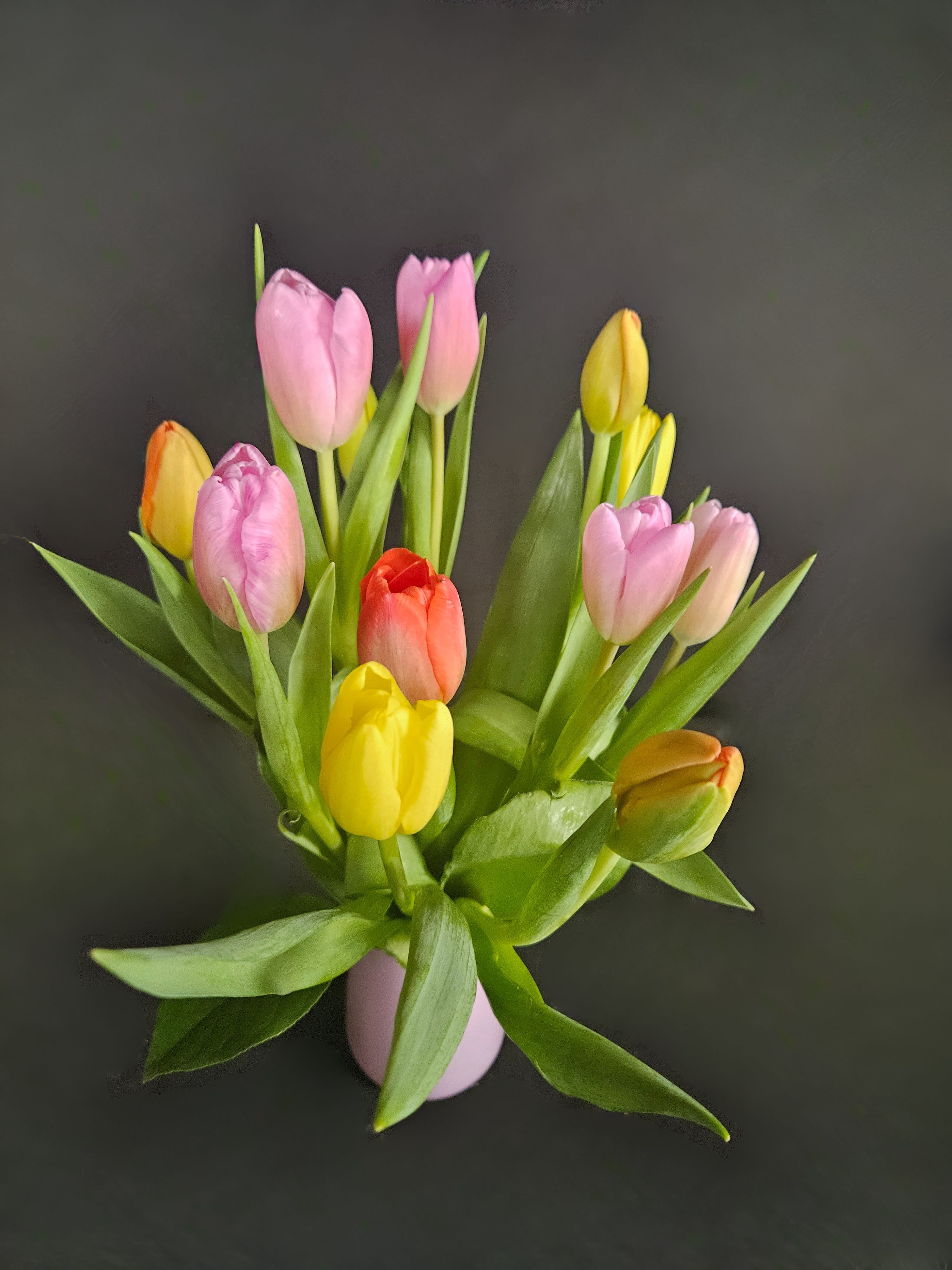 Tulip Medley - Nothing says SPRING like a multi-colored assortment of tulips arranged in a beautiful bouquet. A seasonal vase with 12 assorted tulips. Colors will vary by product availability.