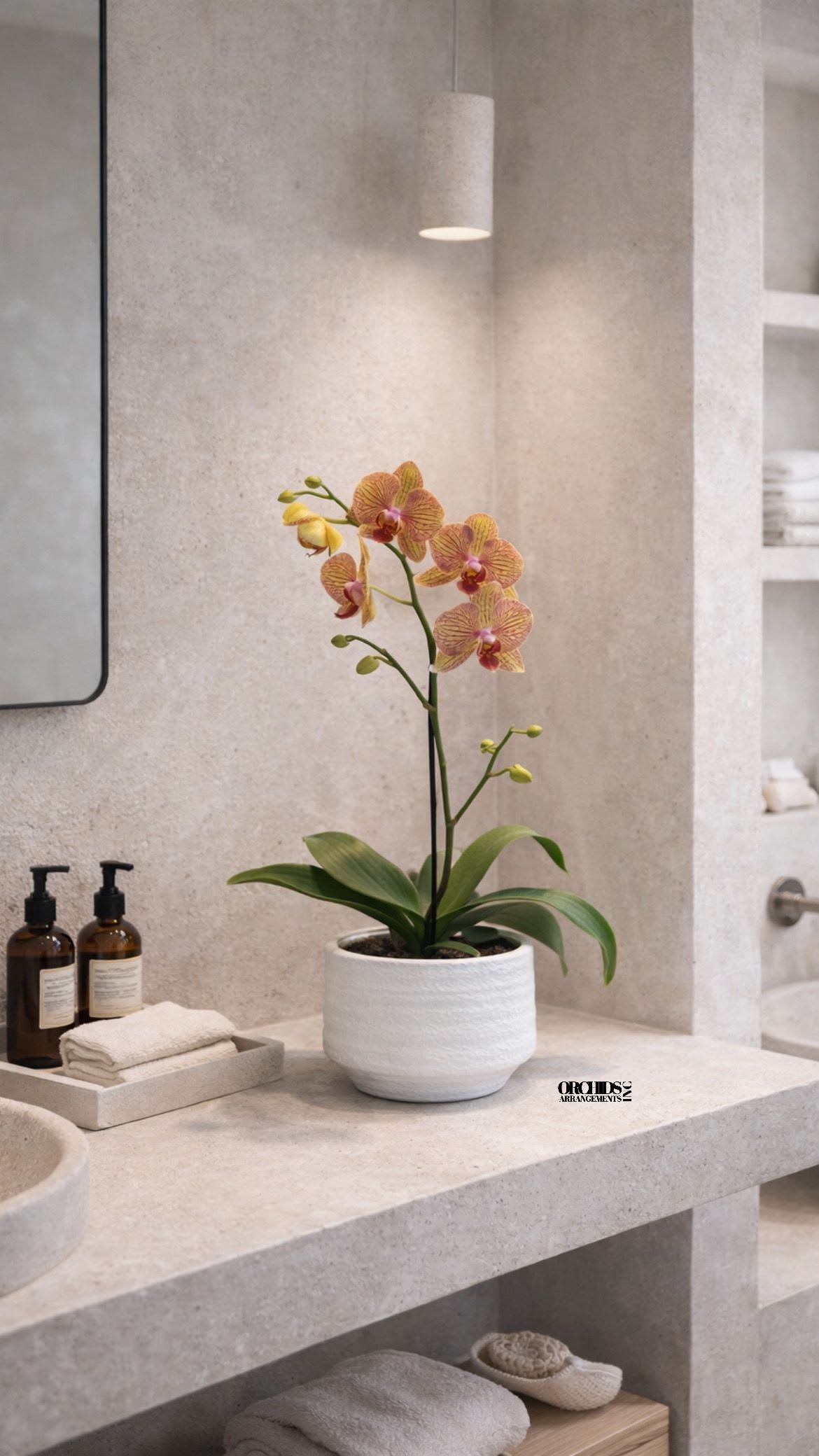 Peach Phalaenopsis Orchid Arrangement – Elegant Home Décor - Same Day Delivery Single Phalaenopsis Cascade Peach Orchids Arrangement with a vase 7" D X 5" T. 