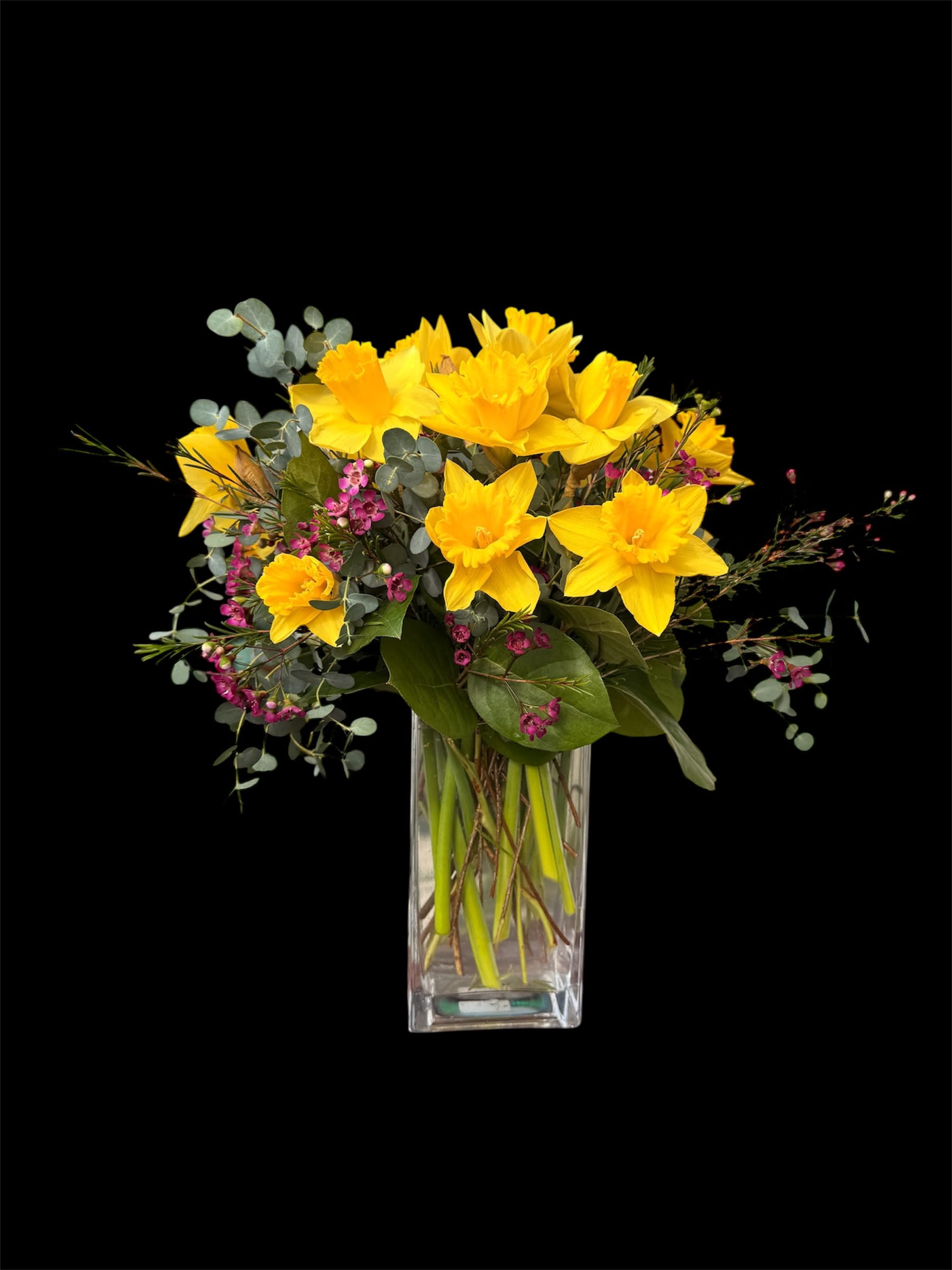 HAPPY DAFFY MIX  - A charming arrangement featuring a dozen and a half vibrant daffodils, accented with delicate wax flower fillers. Artfully designed in a sleek rectangular glass vase, this piece brings a fresh burst of springtime elegance to any space. 