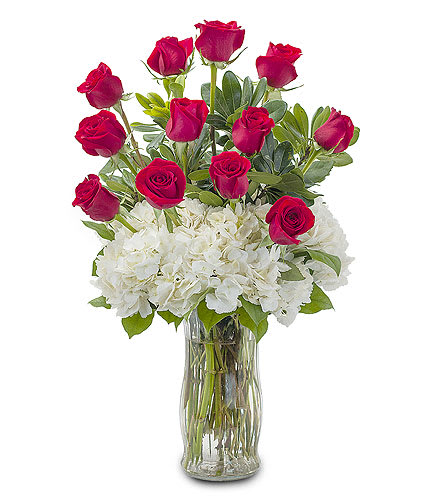 Impressive! - A classically gorgeous arrangement of a dozen red roses accented with Hydrangea to really make an impression. Approximately 8" W X 18" H As Shown : DGTMF-336