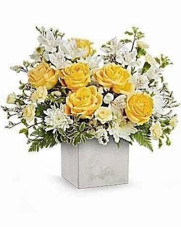 Golden Glow  - A radiant display of warmth and elegance. This modern arrangement captures the essence of a bright morning. At its heart are velvety yellow roses, surrounded by delicate white alstroemeria and soft light yellow carnations. To add layers of texture and charm, we’ve tucked in white cushion chrysanthemums and wisps of white Limonium.   The bouquet is grounded by lush leatherleaf fern and the distinct, architectural lines of black pitta (pittosporum), all beautifully presented in a sleek, modern stone-finish cube. It’s the perfect sophisticated gesture for birthdays, thank-yous, or simply to brighten someone’s day.