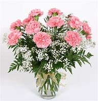 Dozen Assorted Carnations - 12 assorted carnations in a vase