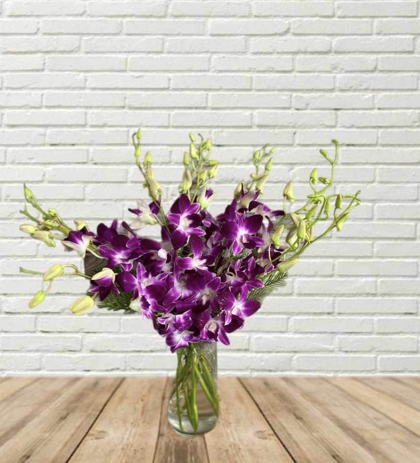 Orchid Kiss - Stunning Bombay Purple Dendrobium Orchids in a glass vase.