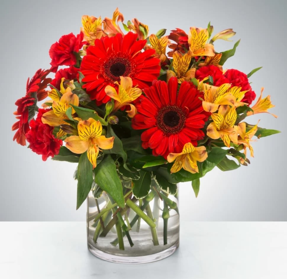 Cinnamon Gerbera - This cinnamon-colored arrangement is a perfect taste of fall. Perfect for any occasion in the fall season, it features red gerbera daisies and yellow alstroemeria.  Approximate Dimensions: 10"D x 10"H