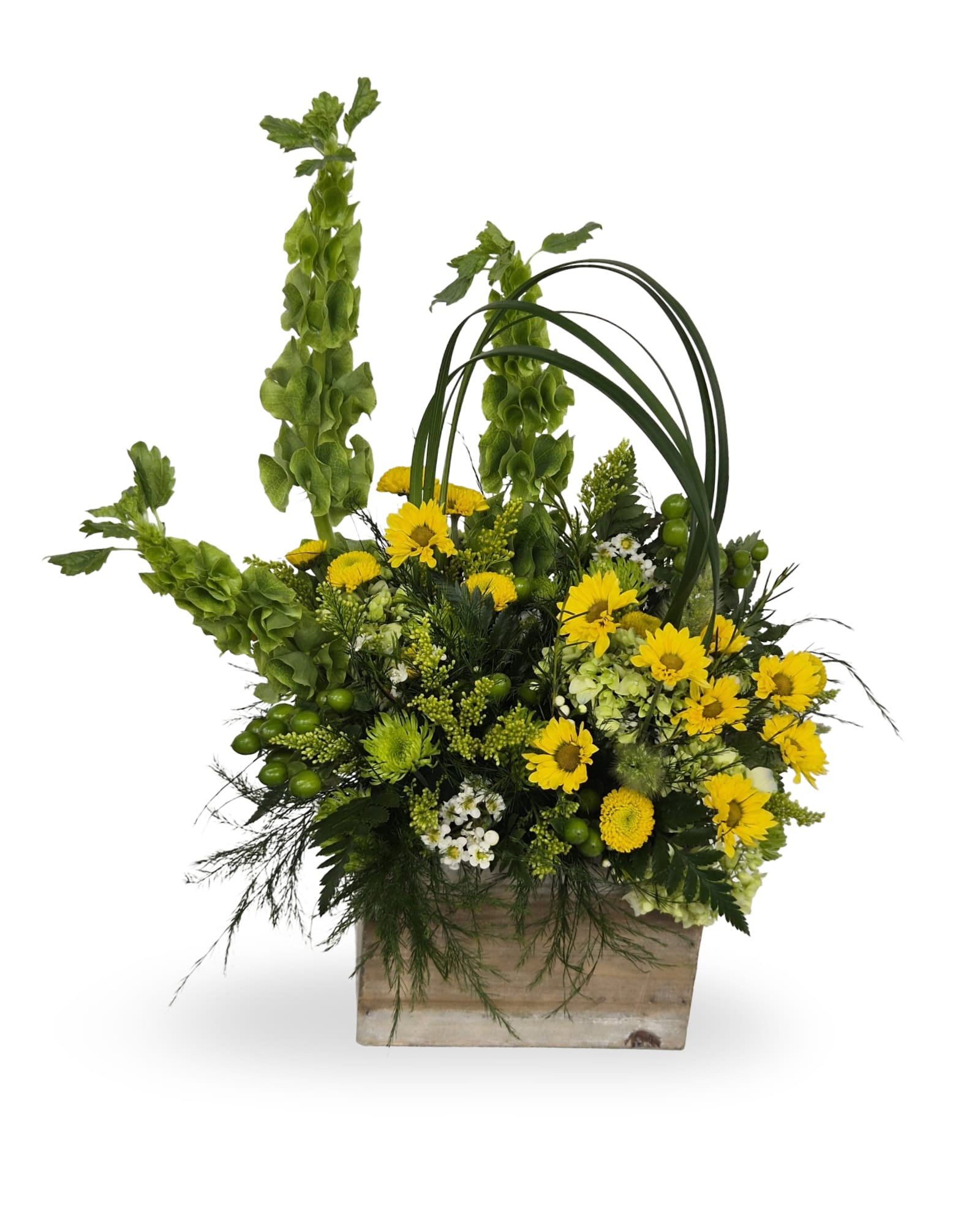 Green Garden - A bright garden-style arrangement featuring fresh green and yellow blooms designed in a natural wooden box. Approximately 18” tall by 11” wide.