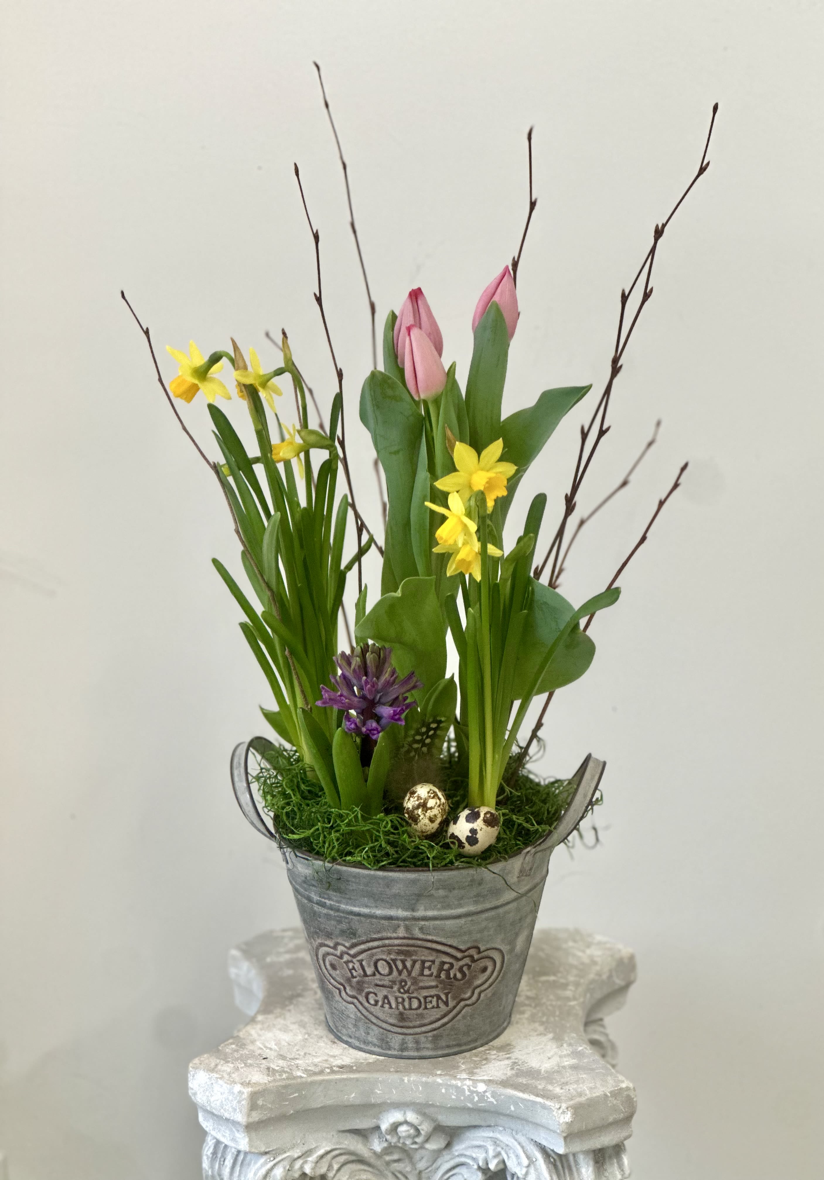 Country Charm Bulb Garden by Westford Florist - Bring a touch of nature's beauty into your home with the Country Charm Bulb Garden by Westford Florist Floral Art by Veny! This delightful fresh spring garden mix bursts with vibrant hyacinth, daffodils and cheerful tulips, all artfully arranged in a charming tin pot. Adorned with real eggshells, soft feathers and rustic branches, this unique design captures the essence of springtime bliss. Perfect for brightening up any space or as a thoughtful gift for someone special, this bulb garden is like bringing a little piece of the countryside indoors. Treat yourself to the enchanting sights and scents that will make you smile every time you walk by!