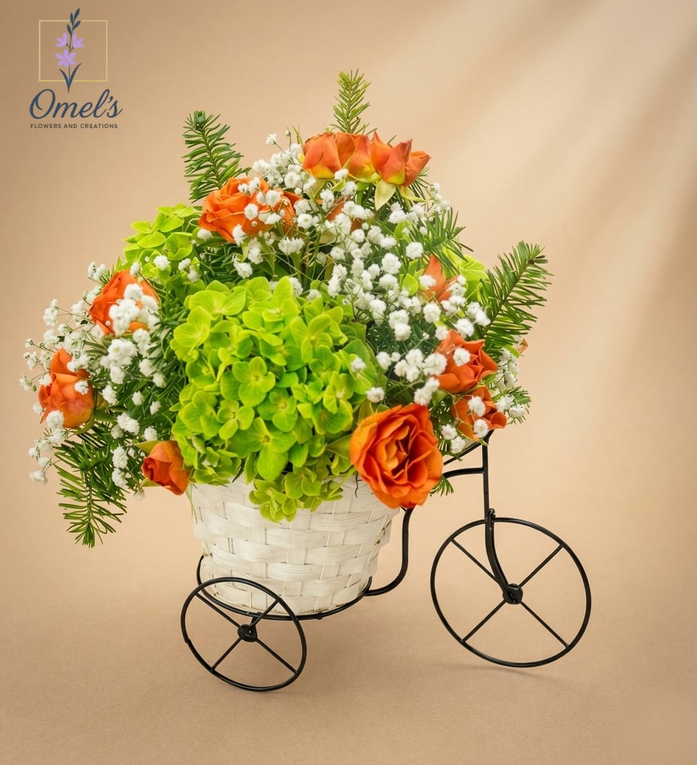 Autumn Ride - Take a whimsical ride into elegance with this charming piece, nestled in a classic, white-woven basket, seated upon a whimsically designed black wire tricycle base, creating a truly unique and conversational keepsake. The arrangement itself is a masterclass in contrasting texture and color. Voluminous, deep lime-green hydrangeas create a lush foundation, perfectly offsetting a cluster of vibrant, multi-petaled orange roses that burst with citrus warmth.  To make this arrangement truly special, we interweave delicate, airy sprigs of white baby’s breath and, most notably, clusters of fresh-cut, aromatic spruce or fir evergreen foliage. These distinct green boughs add an unexpected, textural dimension and a subtle, fresh, woody scent, giving the whole piece a sophisticated, wintery, or transitional-season appeal.  This arrangement is a perfect blend of playful design and classic beauty ideal for: * The ultimate "Just Because" gift!  * Housewarming,  * A unique thank-you,  * A cheerful desk-side companion.  * A charming, non-traditional centerpiece for winter holidays, Thanksgiving, or a sophisticated transitional autumn gift. 