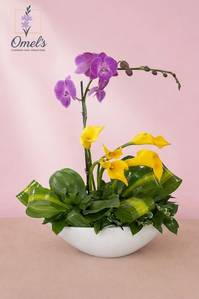 Orchid Overture - Add a touch of vibrant elegance and modern artistry to any space with 'The Orchid Overture.' Presented in a clean, minimalist white boat-shaped ceramic vase, this design offers a truly modern and striking aesthetic.   The arrangement opens with a bold collection of sunny, golden-yellow Calla Lilies, nestled low within a lush base of sculpted, variegated green foliage, creating a sense of growth and abundance. This grounded foundation supports a dramatic stem of deep purple Phalaenopsis Orchids, which arch gracefully upward like a musical crescendo.   This statement piece is the perfect choice for a grand opening, a sophisticated corporate gift, or to bring refined color into a modern office, lobby, or home.