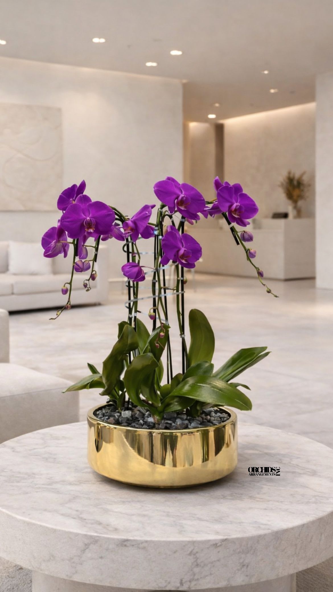 Purple Phalaenopsis Orchid – Luxury Statement Décor - This elegant Five Purple Phalaenopsis Cascade orchid arrangement creates a striking vertical presence, making it ideal for grand interiors and modern living spaces with a vase 12" D X 5" T.