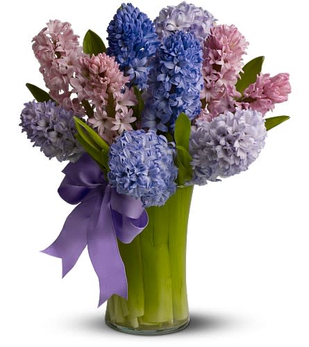 Heavenly Hyacinth - Hyacinth blossoms are a harbinger of spring and have a sweet, distinctive fragrance. If you like hyacinths, treat yourself - or someone you care for - to this elegant bunch of pink, lavender and blue blossoms, simply adorned with a matching ribbon.     A mix of fresh pink, lavender and blue flowers is delivered in a vase decorated with a matching ribbon. Approximately 10" (W) x 14.5" (H) 