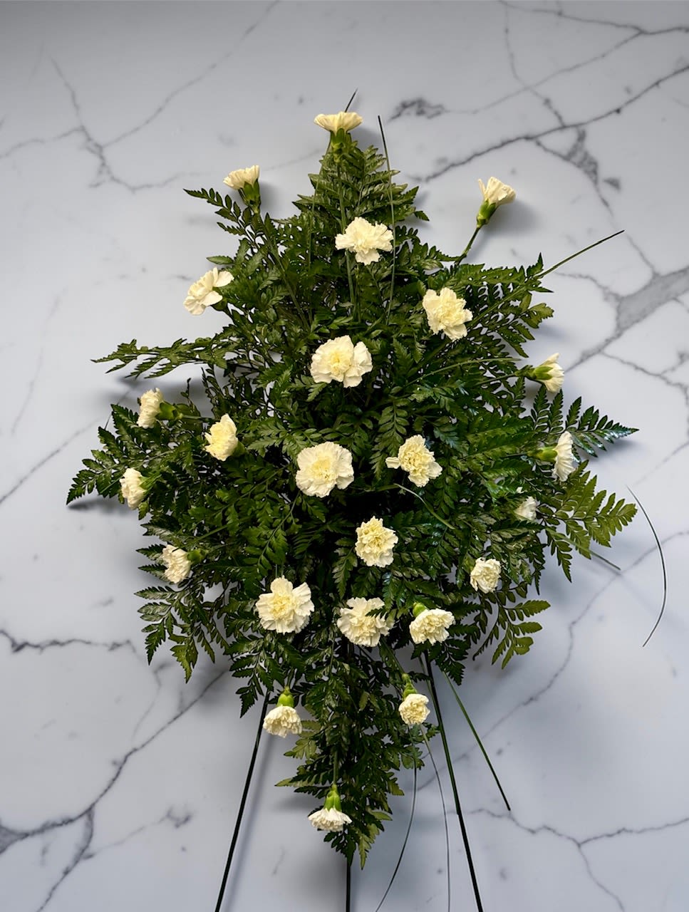 White Carnation Standing Spray - This simple standing spray is perfect for a funeral service. This includes 24 white carnations. 