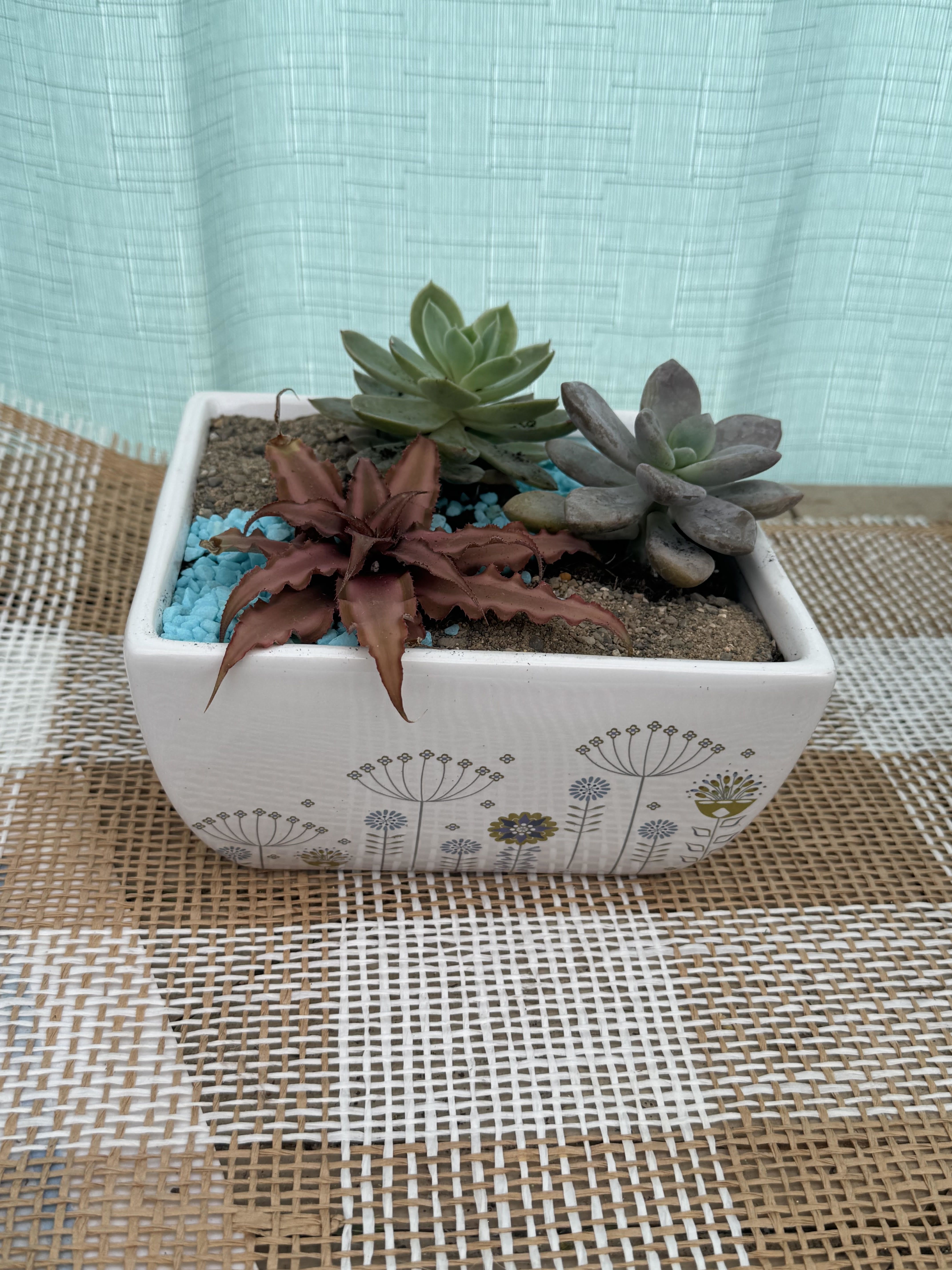SUCCULENT PLANTER-$35 - A small planter with succulents and stones, different designs/succulents available upon request (please note that some succulents will not be available due to season or cost, thank you for your understanding)