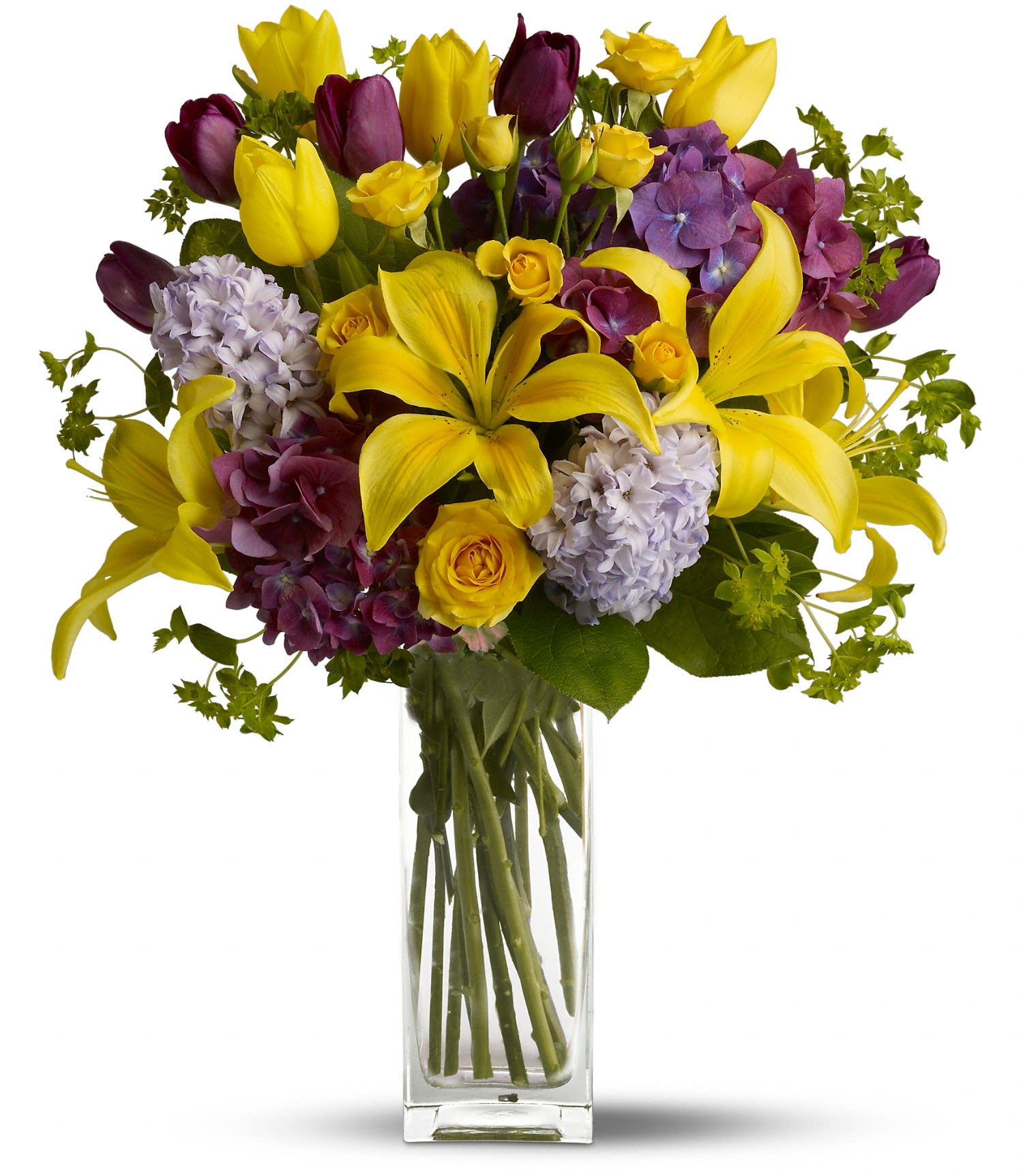 Spring Equinox - As beautiful as the beginning of spring, this brilliant bouquet carries the feeling of the sunshine on your skin after a long cold winter.     Let the spring celebration begin with purple hydrangea and tulips, yellow spray roses, and even more tulips along with sunny asiatic lilies, lavender hyacinth plus green bupleurum and salal in a clearly beautiful bunch vase. Approximately 13" W x 20" H 