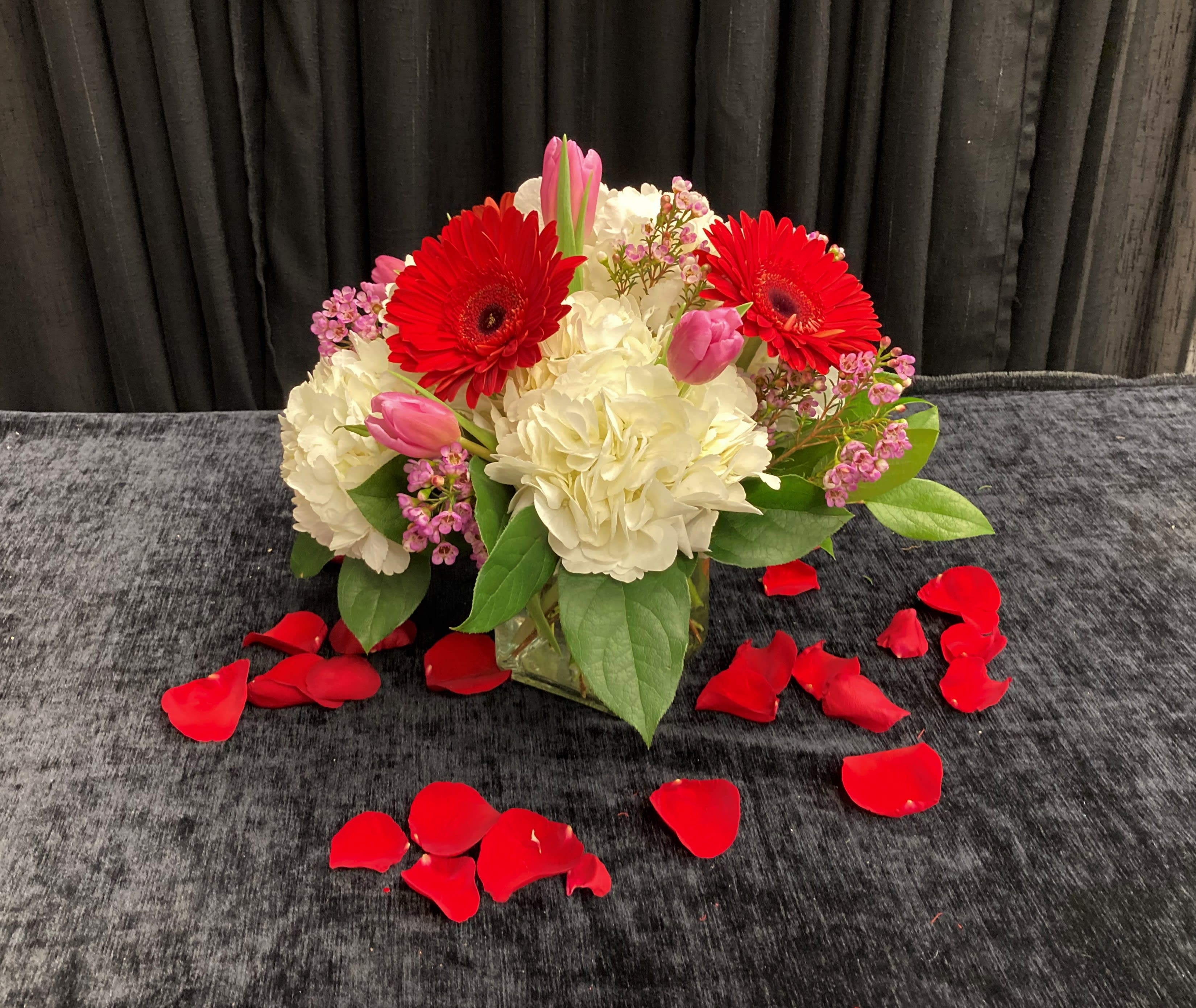 Cube for a Cutie - Charm your crush with gerber daisies and tulips. They are accented with hydrangea and waxflower and arrive an an adorable cube vase.