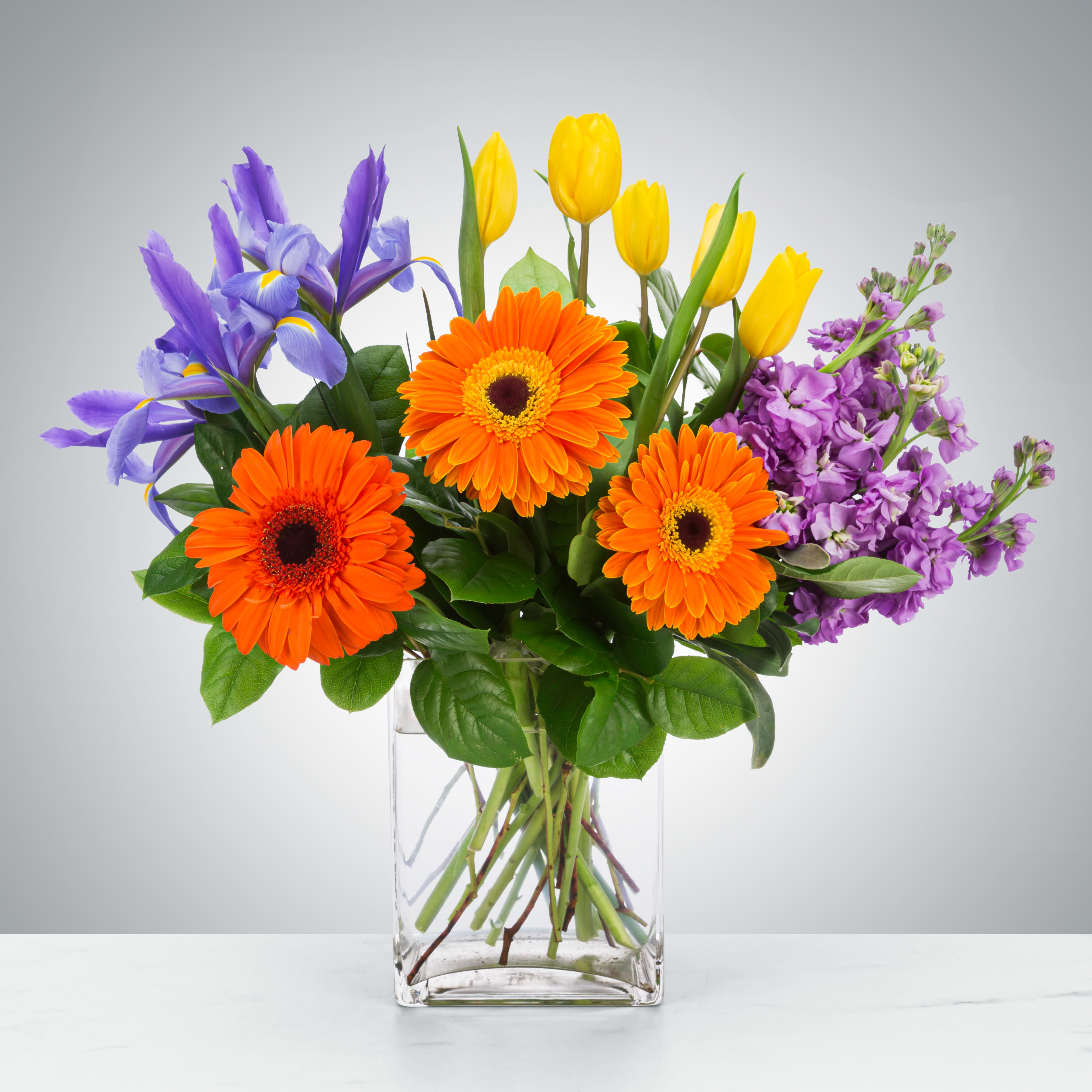 You Got It by Dixie's Flowers - Featuring daisies, tulips, iris, and stock this petite arrangement is a fun way to show you care. This is a great gift for a birthday, Boss's Day, or to say thank you.  Approximate Dimensions: 15"D x 14"H