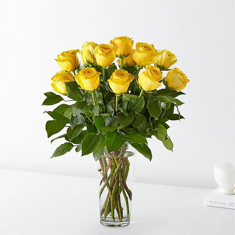Long Stemmed Yellow Roses - Yellow roses are a great option to send a non-romantic love. Send yellow roses to your friend or family member to brighten up their space and celebrate them! Yellow roses are a good gift for graduations, birthdays, or celebrating an accomplishment like a new job. STANDARD 12 ROSES DELUXE 24 ROSES PREMIUM 36 ROSES