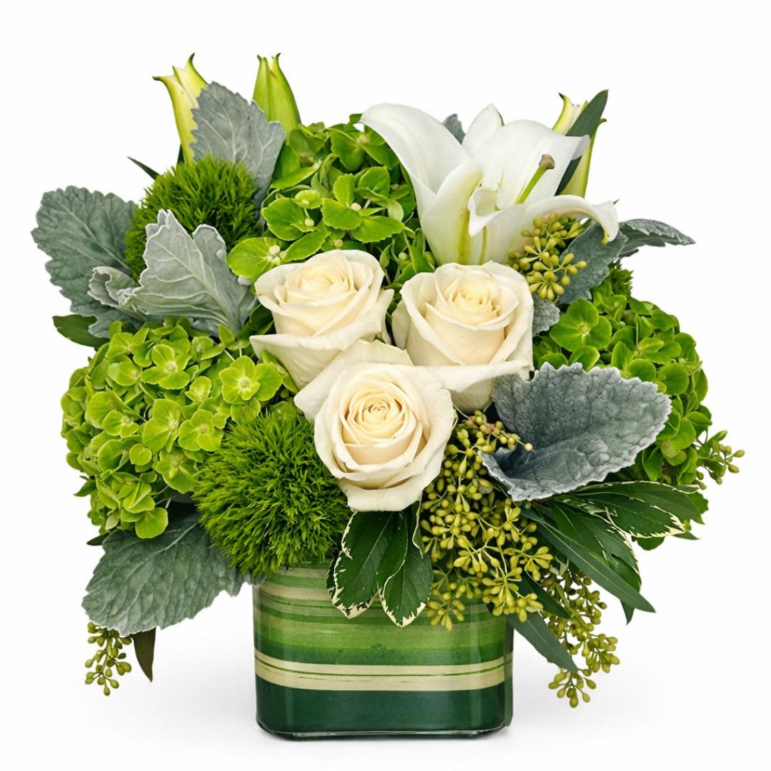 HAPPY ST. PATRICKS DAY - Celebrate the luck and beauty of the season with Happy St. Patrick’s, a fresh and festive flower arrangement designed to capture the vibrant spirit of Saint Patrick’s Day. This cheerful design blends elegant white roses and graceful white lilies with lush green hydrangea and textured seasonal greenery, creating a refreshing palette of crisp whites and rich emerald tones.